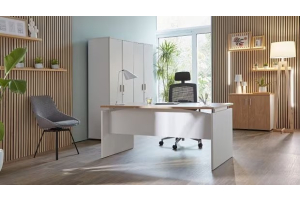 Décoration de votre bureau de direction