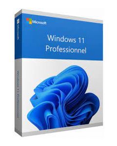 Microsoft Windows 11 Professionnel 64 bits Français (Licence originale + DVD) (FQC-10532)