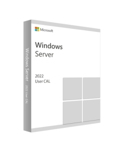 Microsoft Windows Server CAL 2022 French 1pk DSP O (R18-06431)