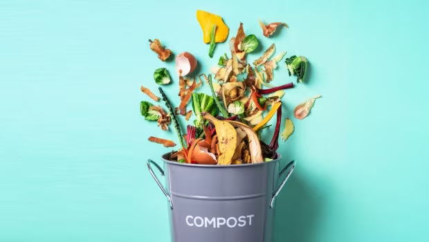 Loi sur les biodéchets : comment se mettre en conformité ?